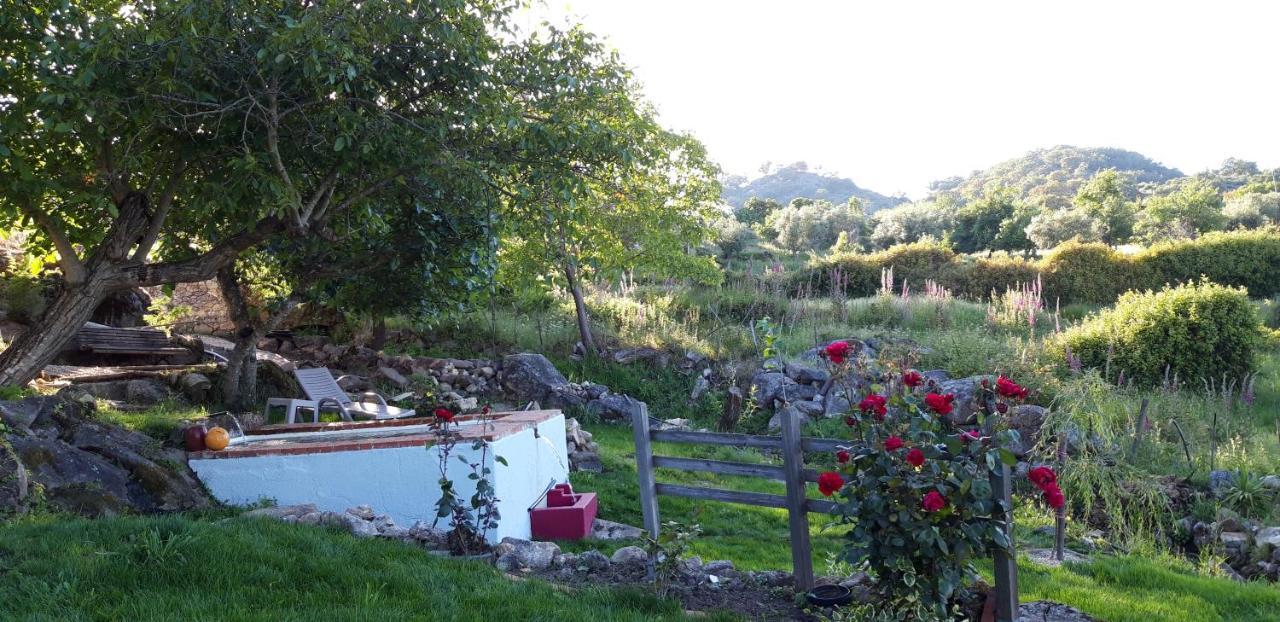 Casa Da Vizinha, Quinta Das Memorias Santo António das Areias Εξωτερικό φωτογραφία