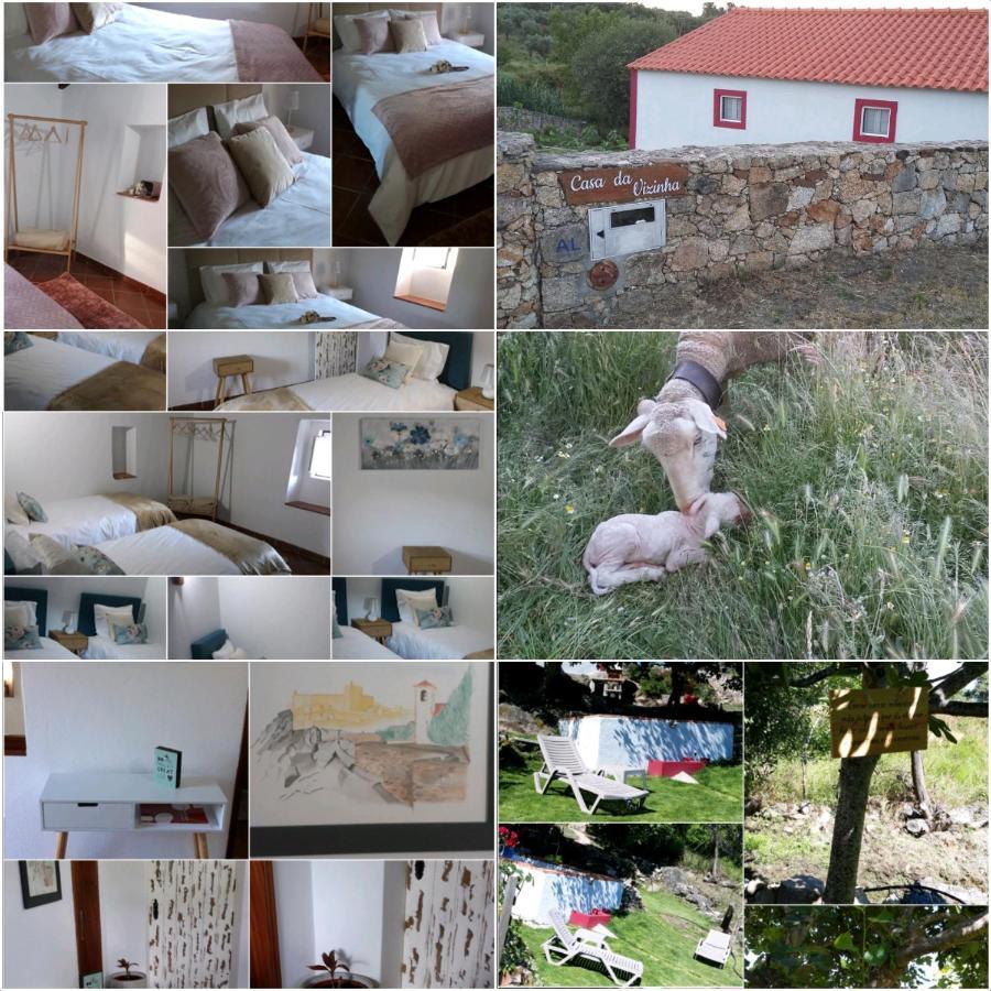 Casa Da Vizinha, Quinta Das Memorias Santo António das Areias Εξωτερικό φωτογραφία
