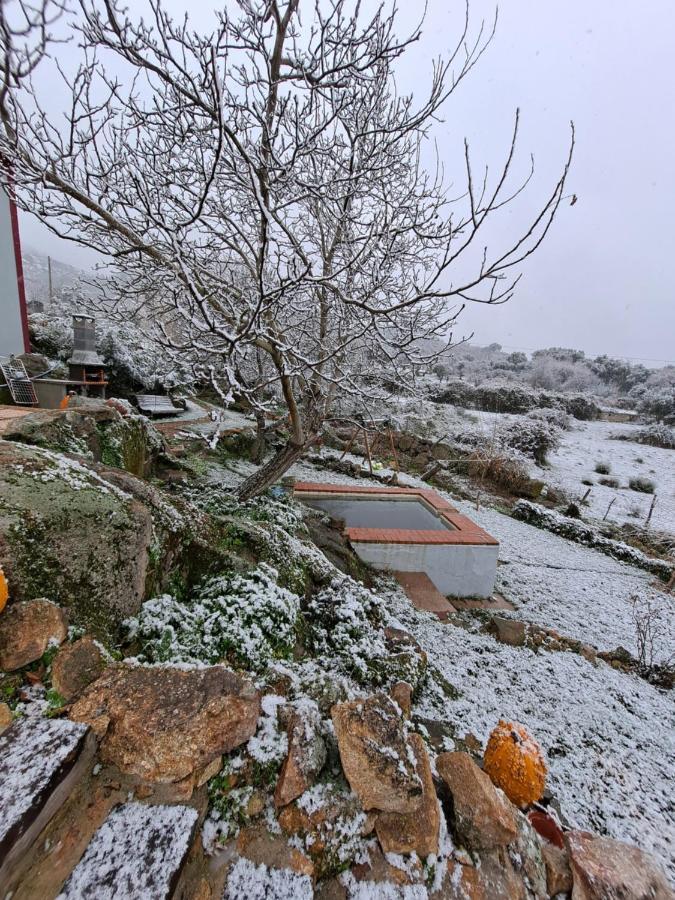 Casa Da Vizinha, Quinta Das Memorias Santo António das Areias Εξωτερικό φωτογραφία