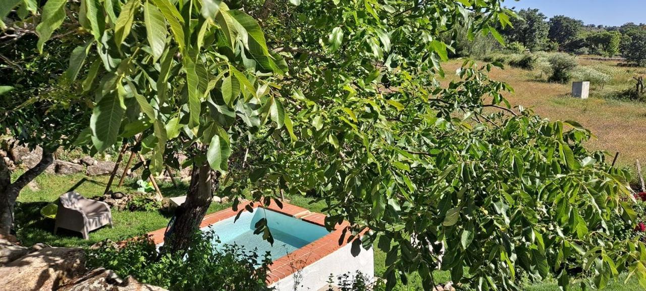 Casa Da Vizinha, Quinta Das Memorias Santo António das Areias Εξωτερικό φωτογραφία